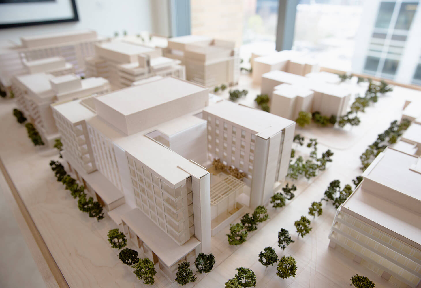 Leading a Movement to Drive Change | CAMH