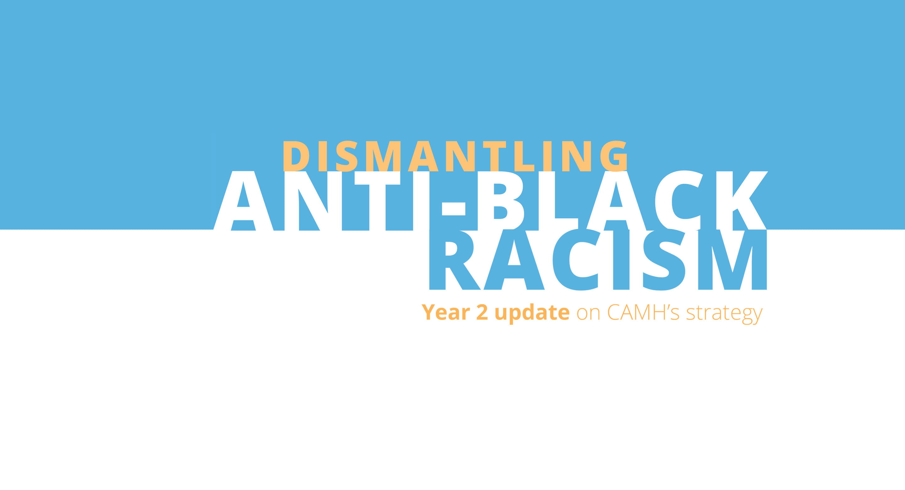 Dismantling Anti-Black Racism - Year 2 Update