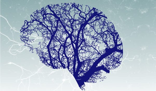A brain outline with a blue tree with it's branches filling up the outline of the brain. 