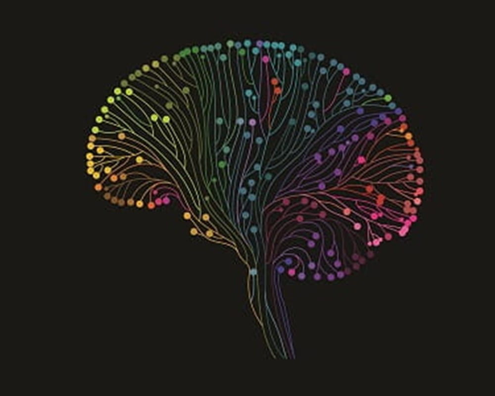 A colourful illustration of a brain on a black background.