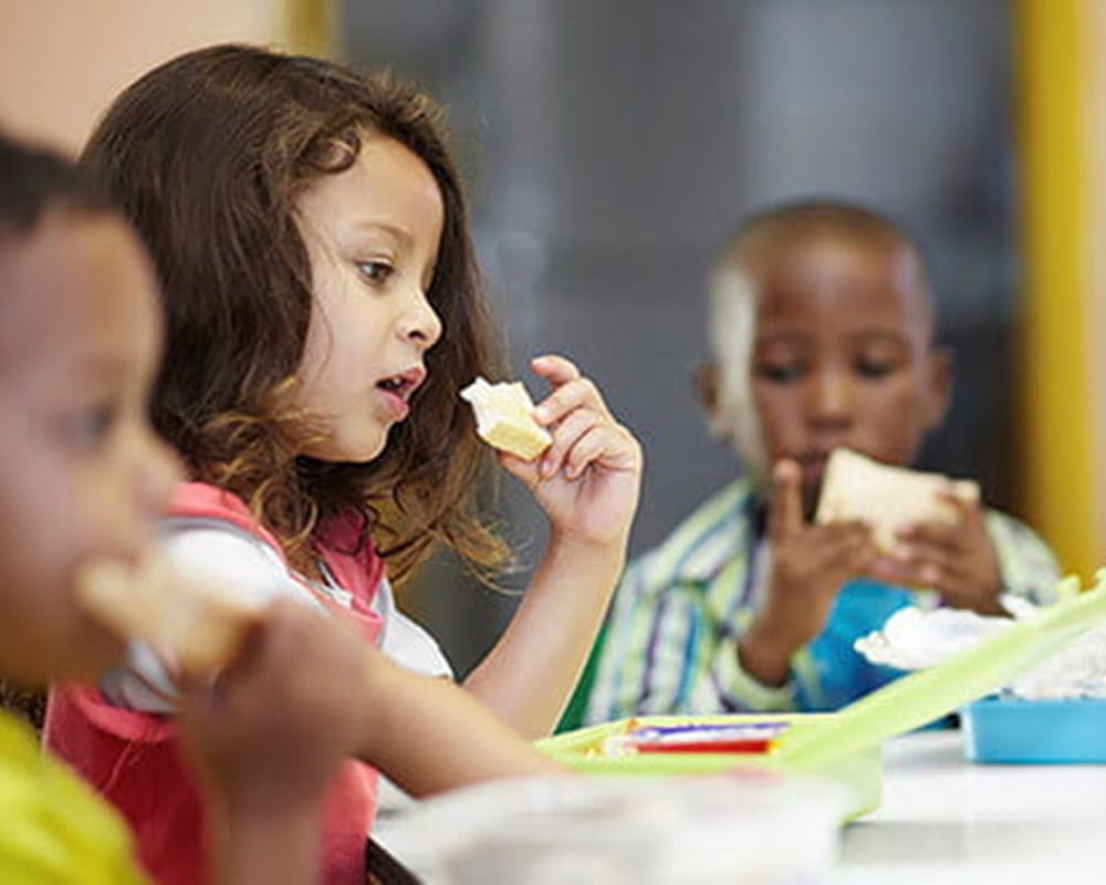 Kids eating sandwiches.