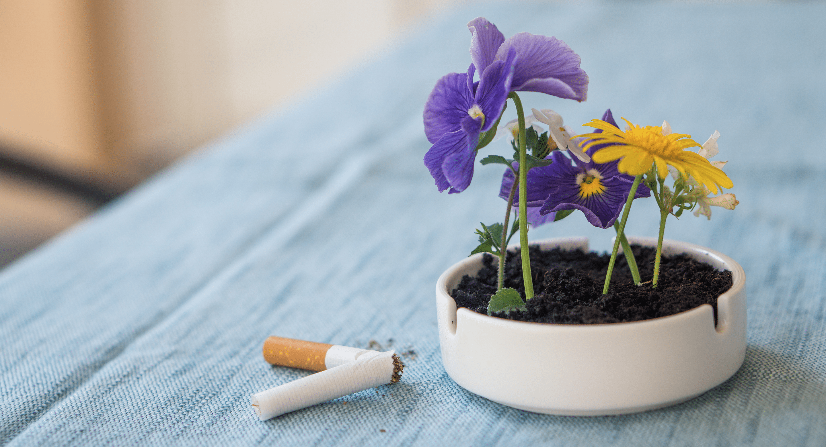broken cigarette beside ashtray full of flowers