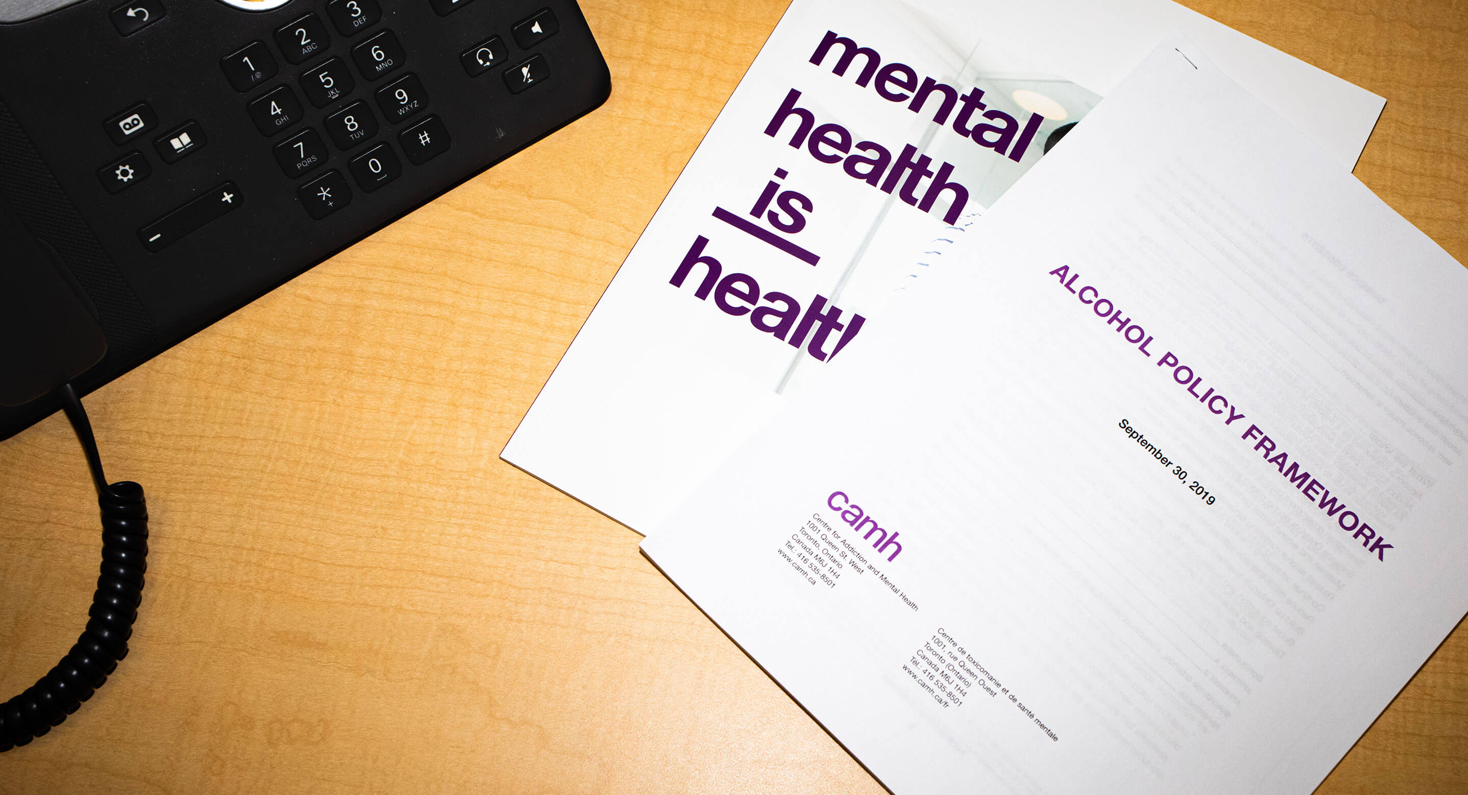 Alcohol Policy Framework