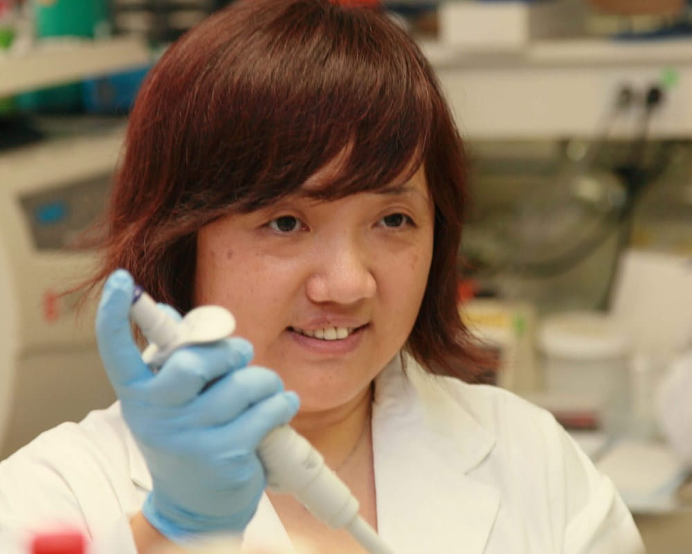 Dr. Fang Liu in lab