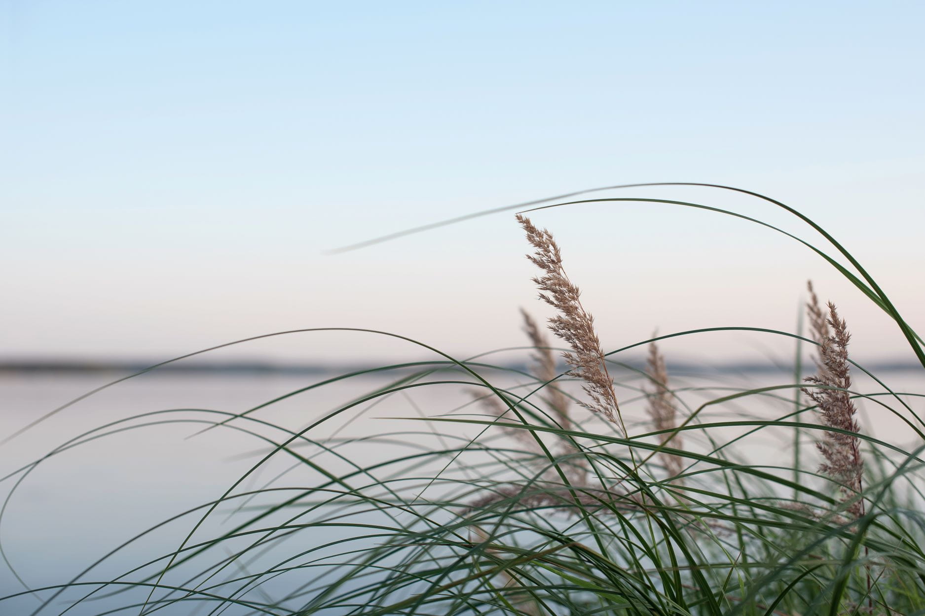 Indigenous Helper Wellness