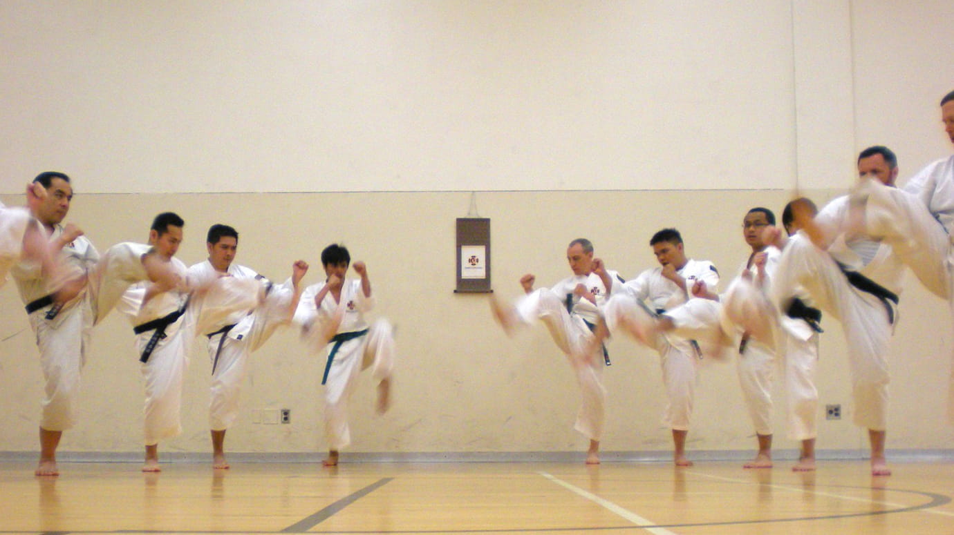 People in a row doing karate