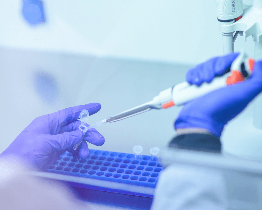 Gloved hands working in lab