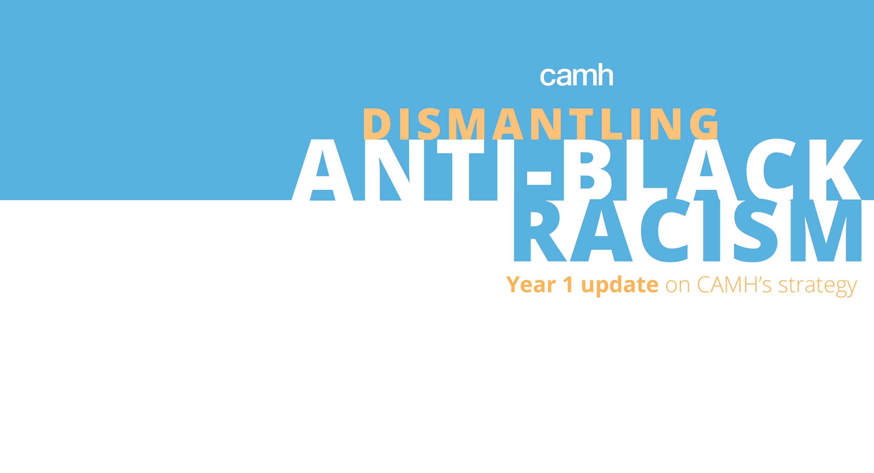 Dismantling Anti-Black Racism - Year 1 Update