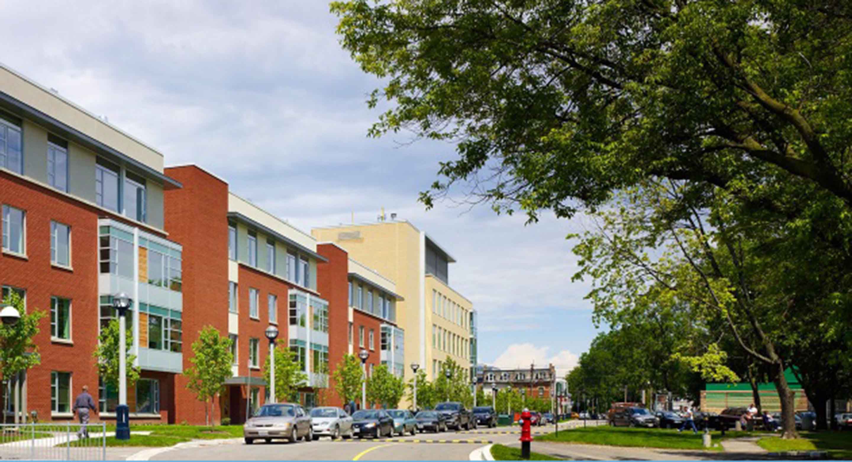 White Squirrel Way buildings