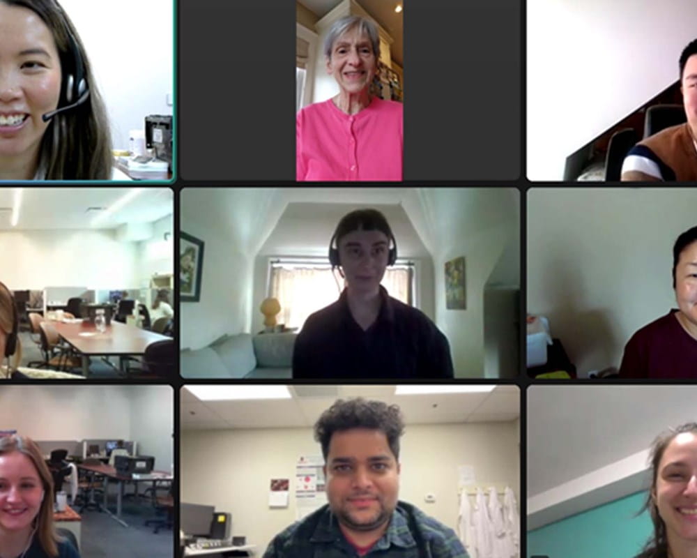 Staff and volunteers at the Social Determinants of Health Services at CAMH